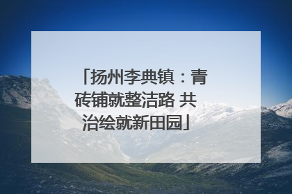 扬州李典镇：青砖铺就整洁路 共治绘就新田园