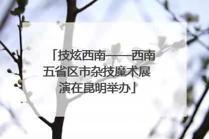 技炫西南——西南五省区市杂技魔术展演在昆明举办