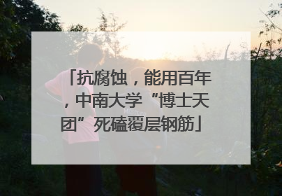 抗腐蚀，能用百年，中南大学“博士天团”死磕覆层钢筋