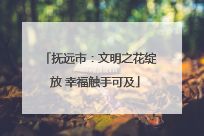 抚远市：文明之花绽放 幸福触手可及