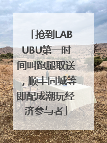 抢到LABUBU第一时间叫跑腿取送，顺丰同城等即配成潮玩经济参与者