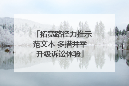 拓宽路径力推示范文本 多措并举升级诉讼体验