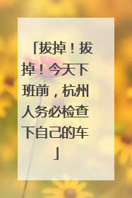 拔掉！拔掉！今天下班前，杭州人务必检查下自己的车