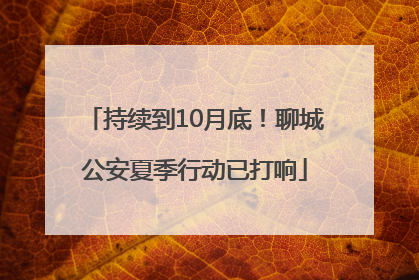 持续到10月底！聊城公安夏季行动已打响