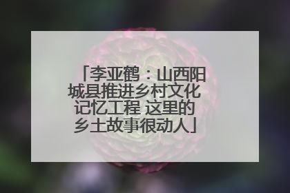 李亚鹤：山西阳城县推进乡村文化记忆工程 这里的乡土故事很动人