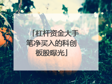 杠杆资金大手笔净买入的科创板股曝光