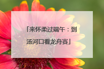 来怀柔过端午：到汤河口看龙舟赛
