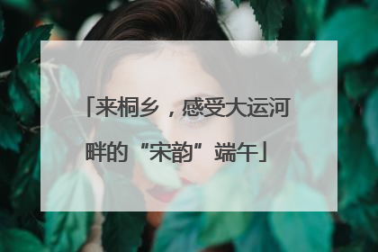 来桐乡，感受大运河畔的“宋韵”端午