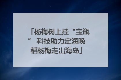 杨梅树上挂“宝瓶” 科技助力定海晚稻杨梅走出海岛