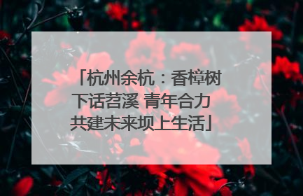 杭州余杭：香樟树下话苕溪 青年合力共建未来坝上生活