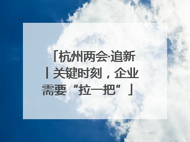 杭州两会·追新丨关键时刻，企业需要“拉一把”