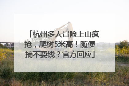 杭州多人冒险上山疯抢，爬树5米高！随便摘不要钱？官方回应
