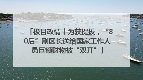 极目政情丨为获提拔，“80后”副区长送给国家工作人员巨额财物被“双开”