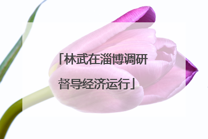 林武在淄博调研督导经济运行