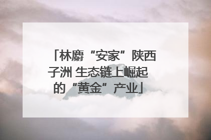 林麝“安家”陕西子洲 生态链上崛起的“黄金”产业