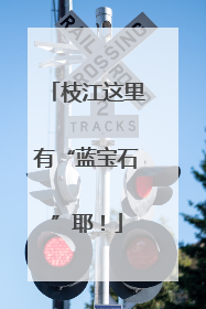枝江这里有“蓝宝石”耶！