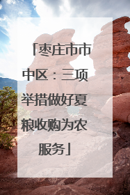 枣庄市市中区：三项举措做好夏粮收购为农服务