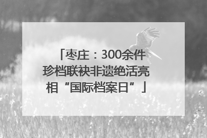 枣庄：300余件珍档联袂非遗绝活亮相“国际档案日”
