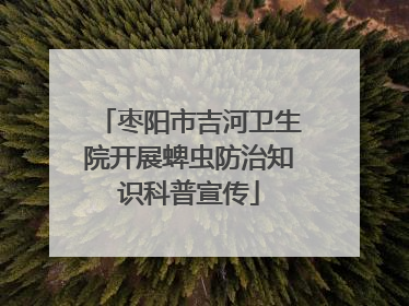 枣阳市吉河卫生院开展蜱虫防治知识科普宣传