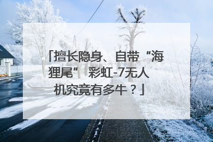 擅长隐身、自带“海狸尾” 彩虹-7无人机究竟有多牛？