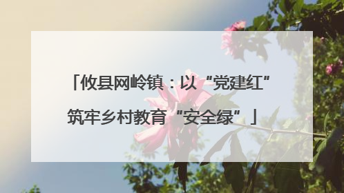 攸县网岭镇：以“党建红”筑牢乡村教育“安全绿”