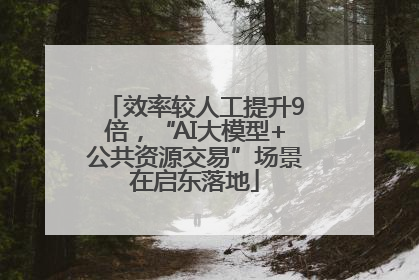 效率较人工提升9倍，“AI大模型+公共资源交易”场景在启东落地