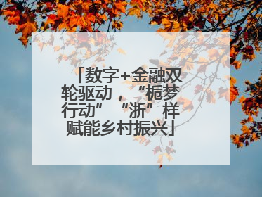 数字+金融双轮驱动，“栀梦行动”“浙”样赋能乡村振兴