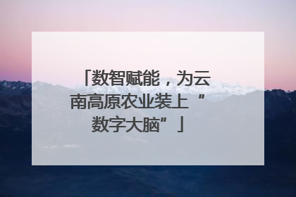 数智赋能，为云南高原农业装上“数字大脑”