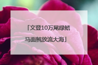 文登10万尾绿鳍马面鲀放流大海