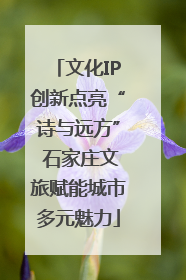 文化IP创新点亮“诗与远方” 石家庄文旅赋能城市多元魅力