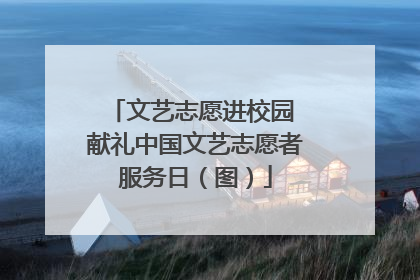 文艺志愿进校园 献礼中国文艺志愿者服务日（图）
