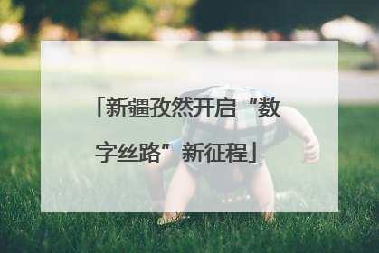 新疆孜然开启“数字丝路”新征程