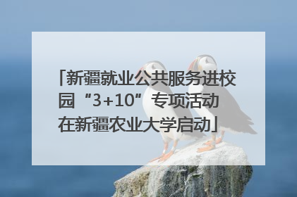 新疆就业公共服务进校园“3+10”专项活动在新疆农业大学启动