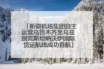 新疆机场集团自主运营乌鲁木齐至乌兹别克斯坦纳沃伊国际货运航线成功首航