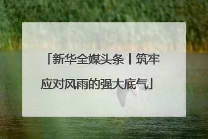 新华全媒头条丨筑牢应对风雨的强大底气