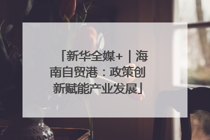 新华全媒+｜海南自贸港：政策创新赋能产业发展