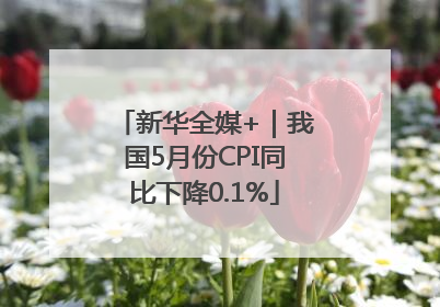 新华全媒+｜我国5月份CPI同比下降0.1%
