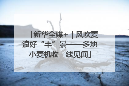 新华全媒+｜风吹麦浪好“丰”景——多地小麦机收一线见闻