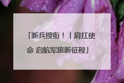 新兵授衔！丨肩扛使命 启航军旅新征程