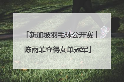 新加坡羽毛球公开赛丨陈雨菲夺得女单冠军