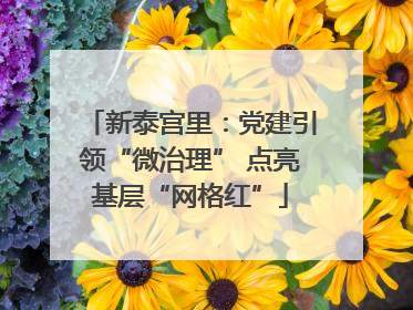 新泰宫里：党建引领“微治理” 点亮基层“网格红”