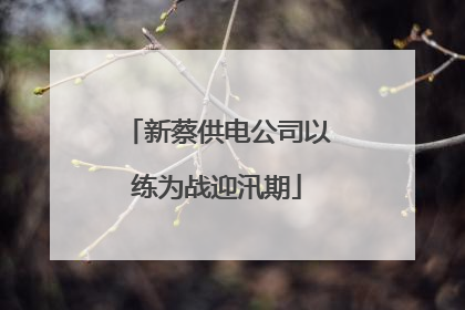 新蔡供电公司以练为战迎汛期