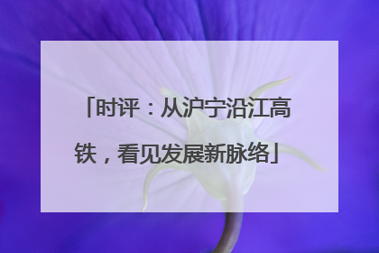时评：从沪宁沿江高铁，看见发展新脉络