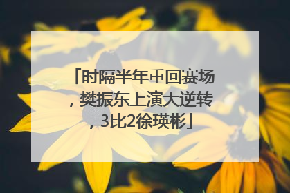 时隔半年重回赛场，樊振东上演大逆转，3比2徐瑛彬