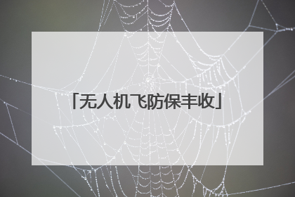 无人机飞防保丰收