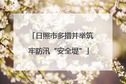 日照市多措并举筑牢防汛“安全堤”