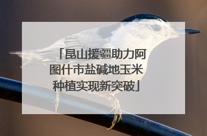 昆山援疆助力阿图什市盐碱地玉米种植实现新突破