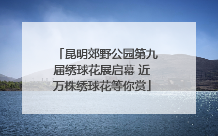 昆明郊野公园第九届绣球花展启幕 近万株绣球花等你赏