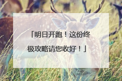 明日开跑！这份终极攻略请您收好！