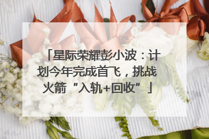 星际荣耀彭小波：计划今年完成首飞，挑战火箭“入轨+回收”